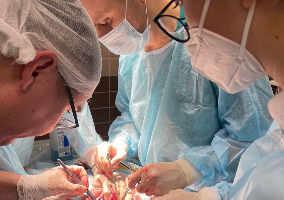 Работа студенческого кружка в учебном центре экспериментальной медицины 'WETLAB' Работа студенческого кружка в учебном центре экспериментальной медицины 'WETLAB'