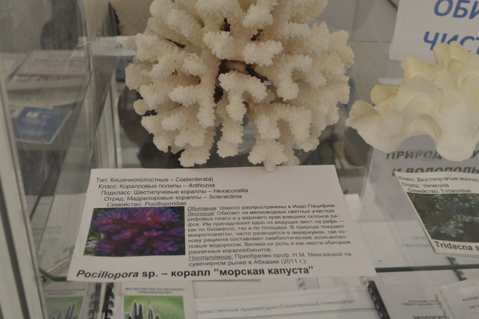 ������� ������������������� � ���������������