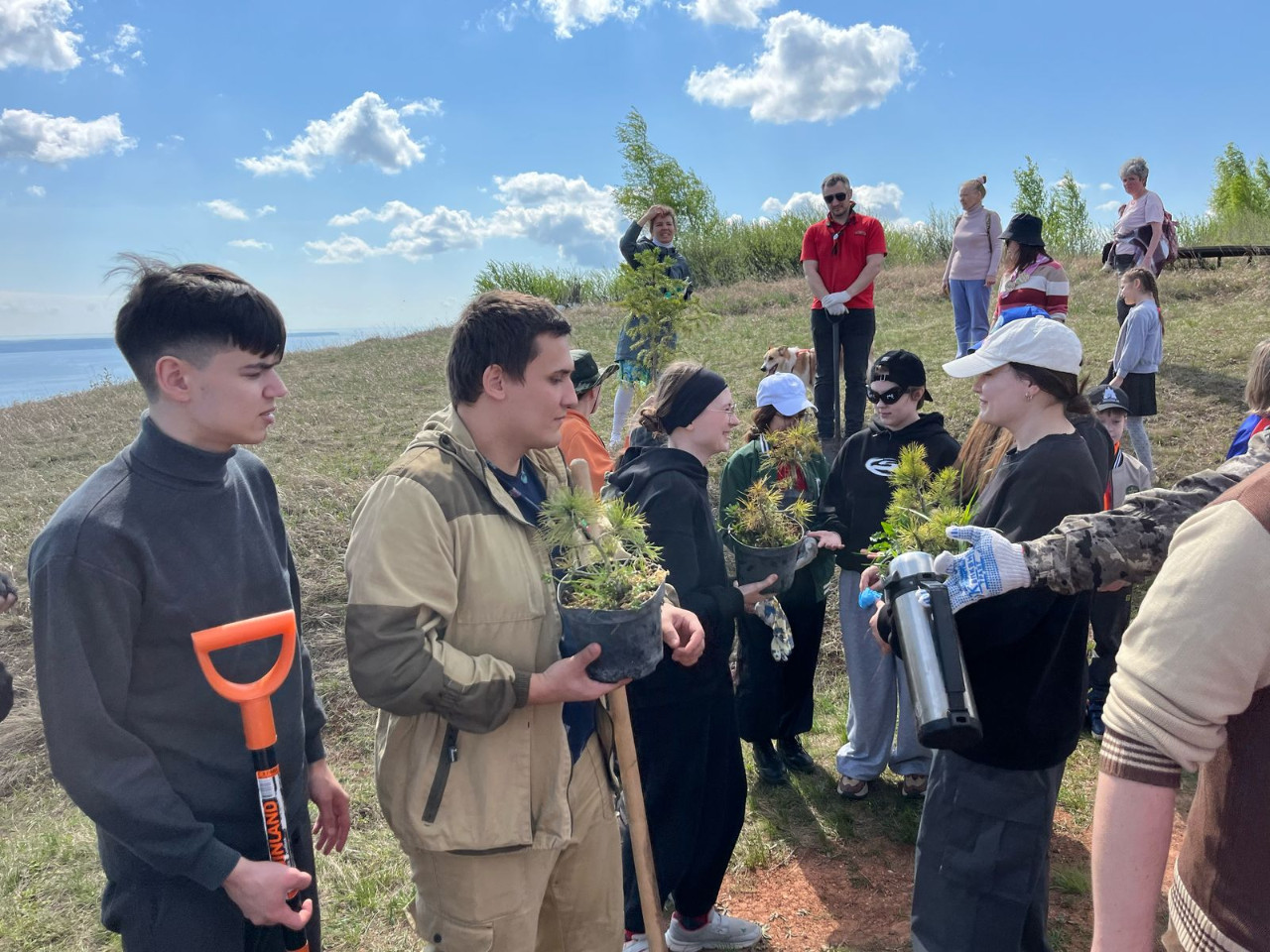 Деревья - вместо бронзы и мрамора Деревья - вместо бронзы и мрамора