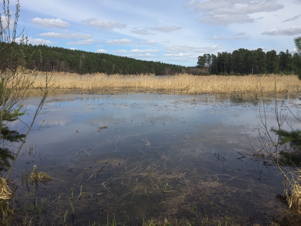 ������-��������������� ����� '������'