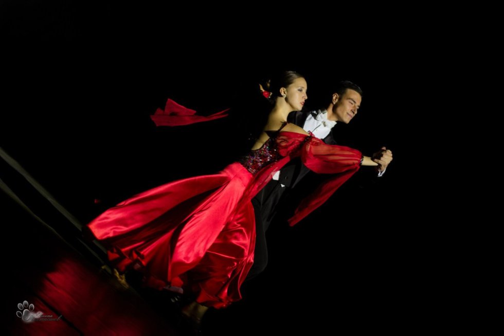 ���������� ������� ��������� '���� ������������� 2014' ���������� �������� ����������, ��������� � �������� � ������� ��������� ���������� ��������.