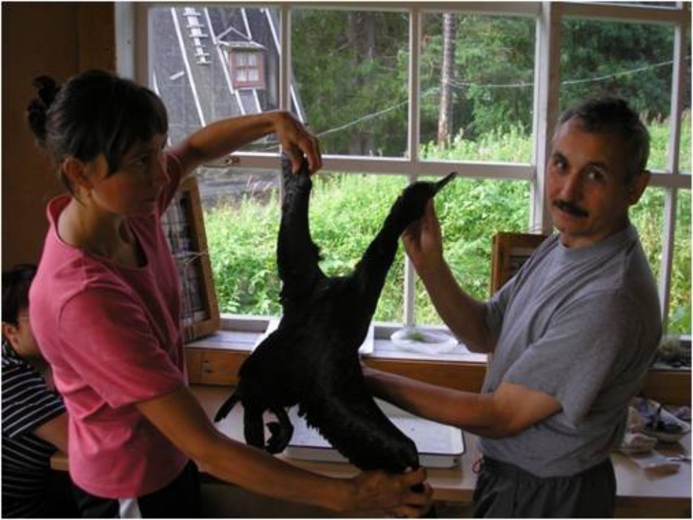 Мой любимый литературный персонаж ? Д'Артаньян, ? он мне близок по духу Мой любимый литературный персонаж ? Д'Артаньян, ? он мне близок по духу