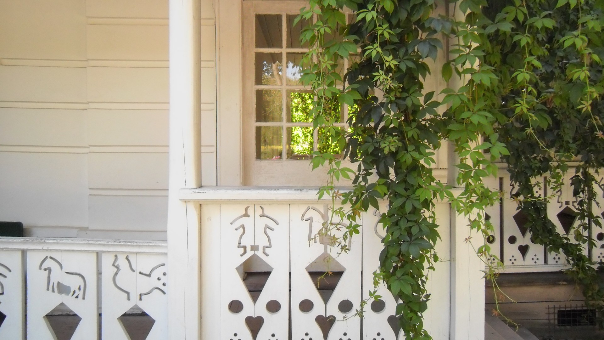 ��� �� �������� �������� ���� ��������