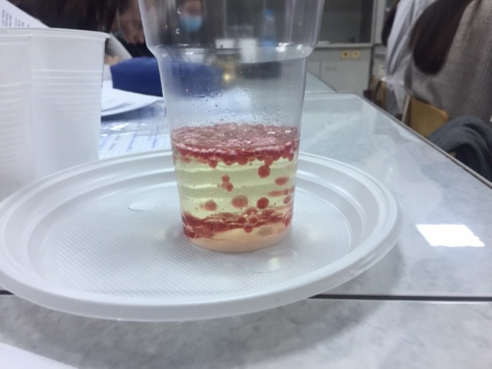 ����� ������-������� ��� ������� �������� �����