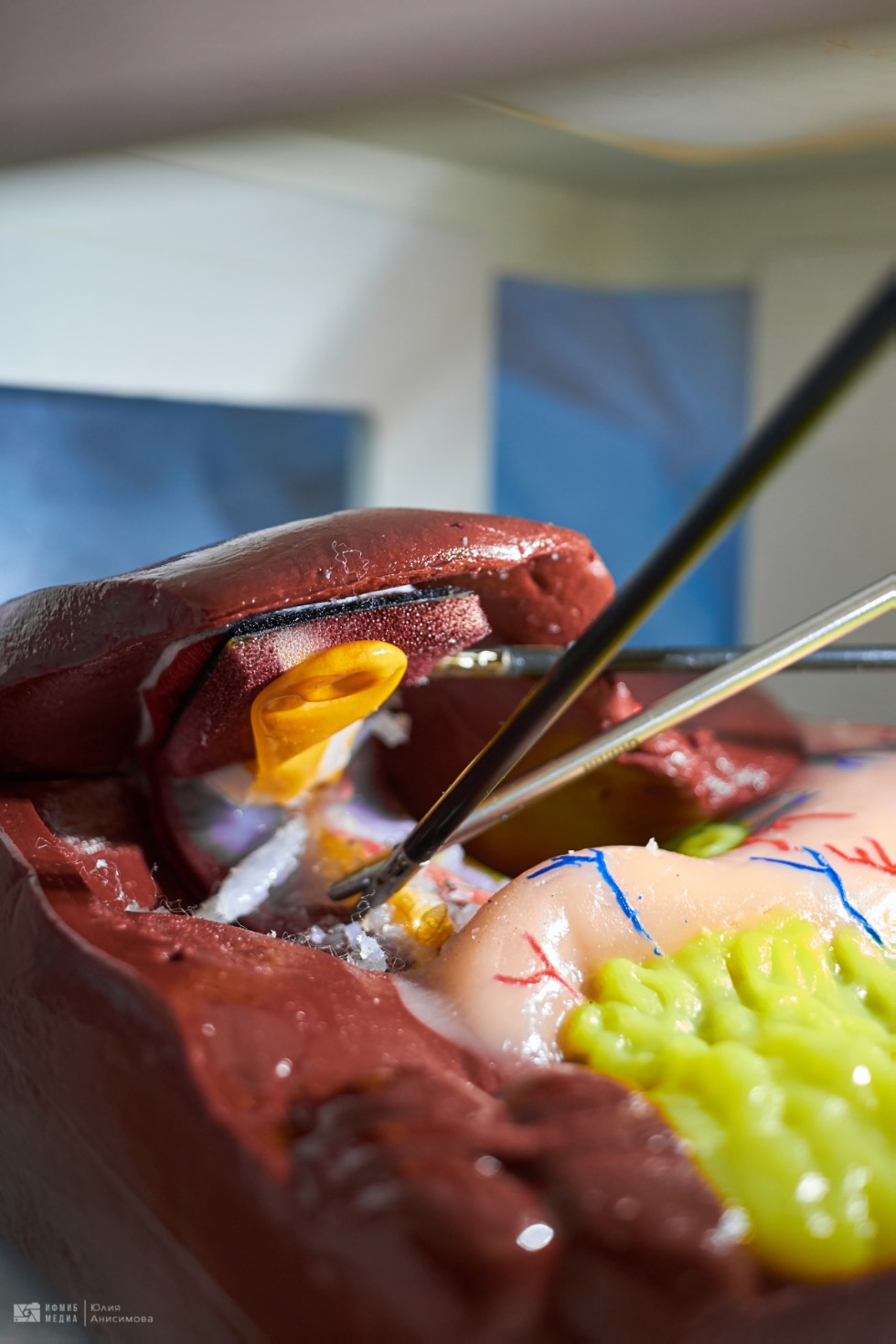 ����������