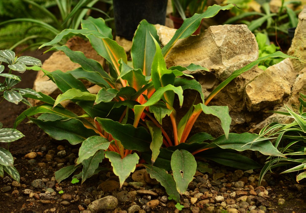 ���������� ��������