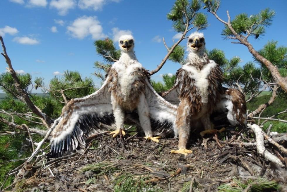 ������ ����������� ��������� ��� ��������� �������� �� ���������� �� ���������