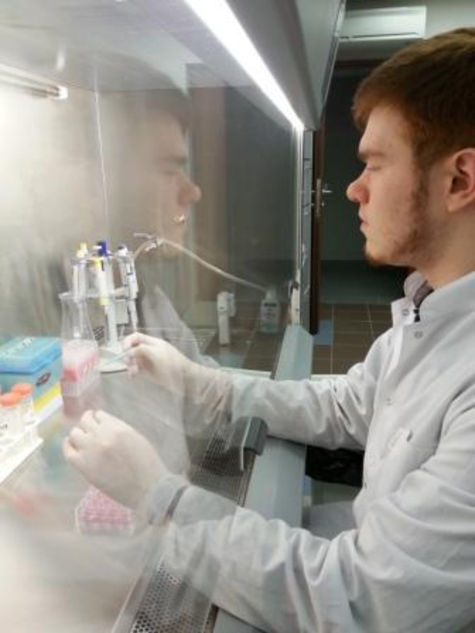 Научные исследования Научные исследования