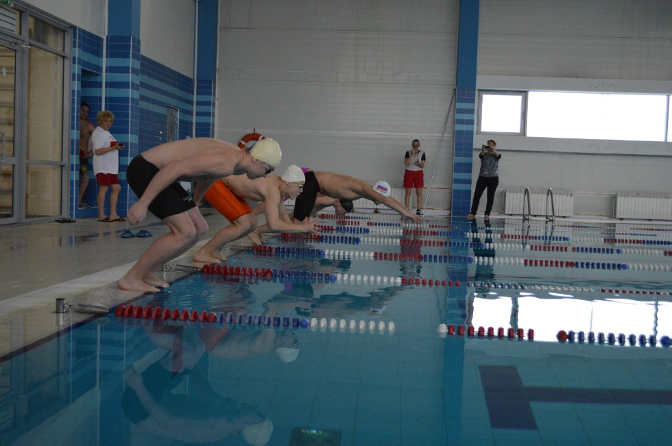 � �������� ���� - �������� ���