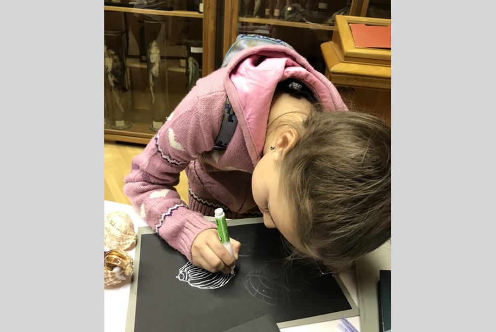 Финал уходящего года зоомузей университета отметил очередным мероприятием Финал уходящего года зоомузей университета отметил очередным мероприятием