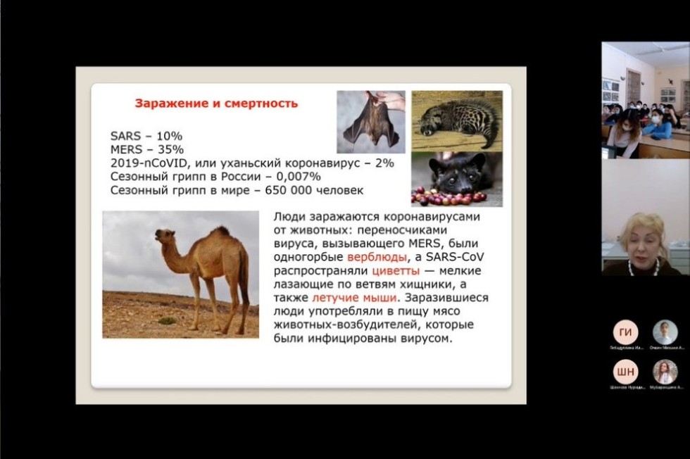 ���� �������� ������