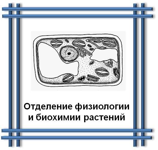 ��������� �������