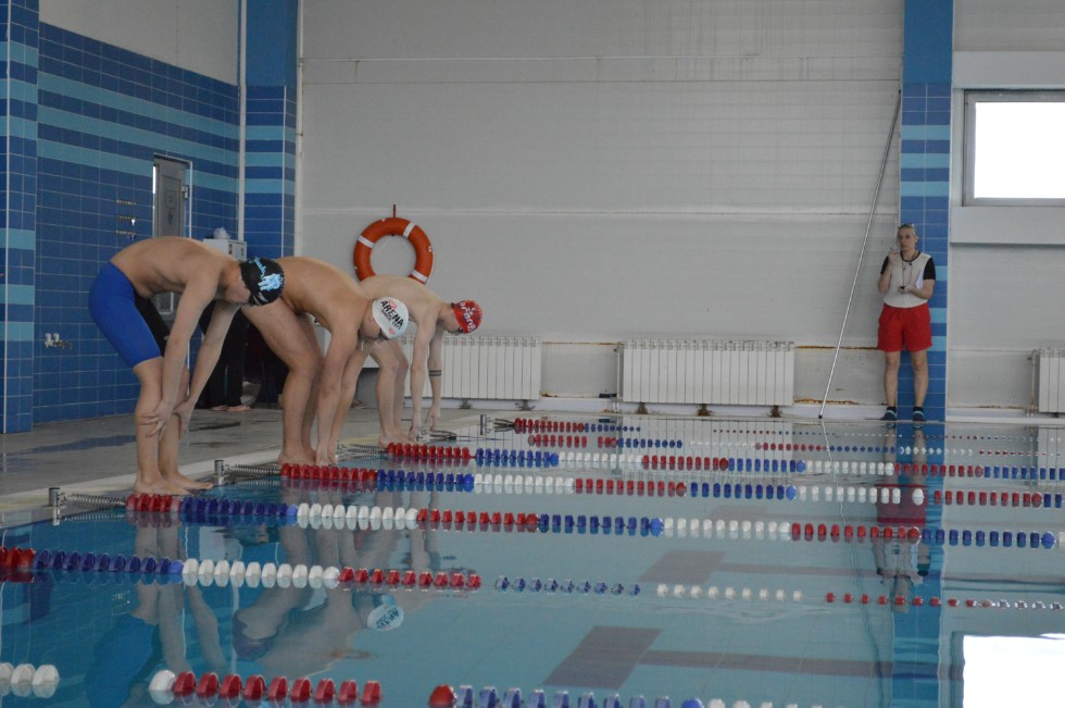 � �������� ���� - �������� ���