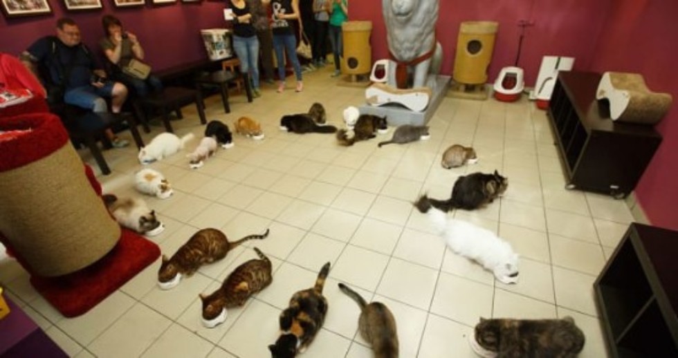 ��� �� �������