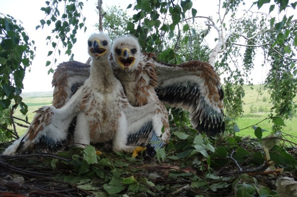 ������ ����������� ��������� ��� �������� ���������� ����������� ������� ���� ���� �� ���������� ����������