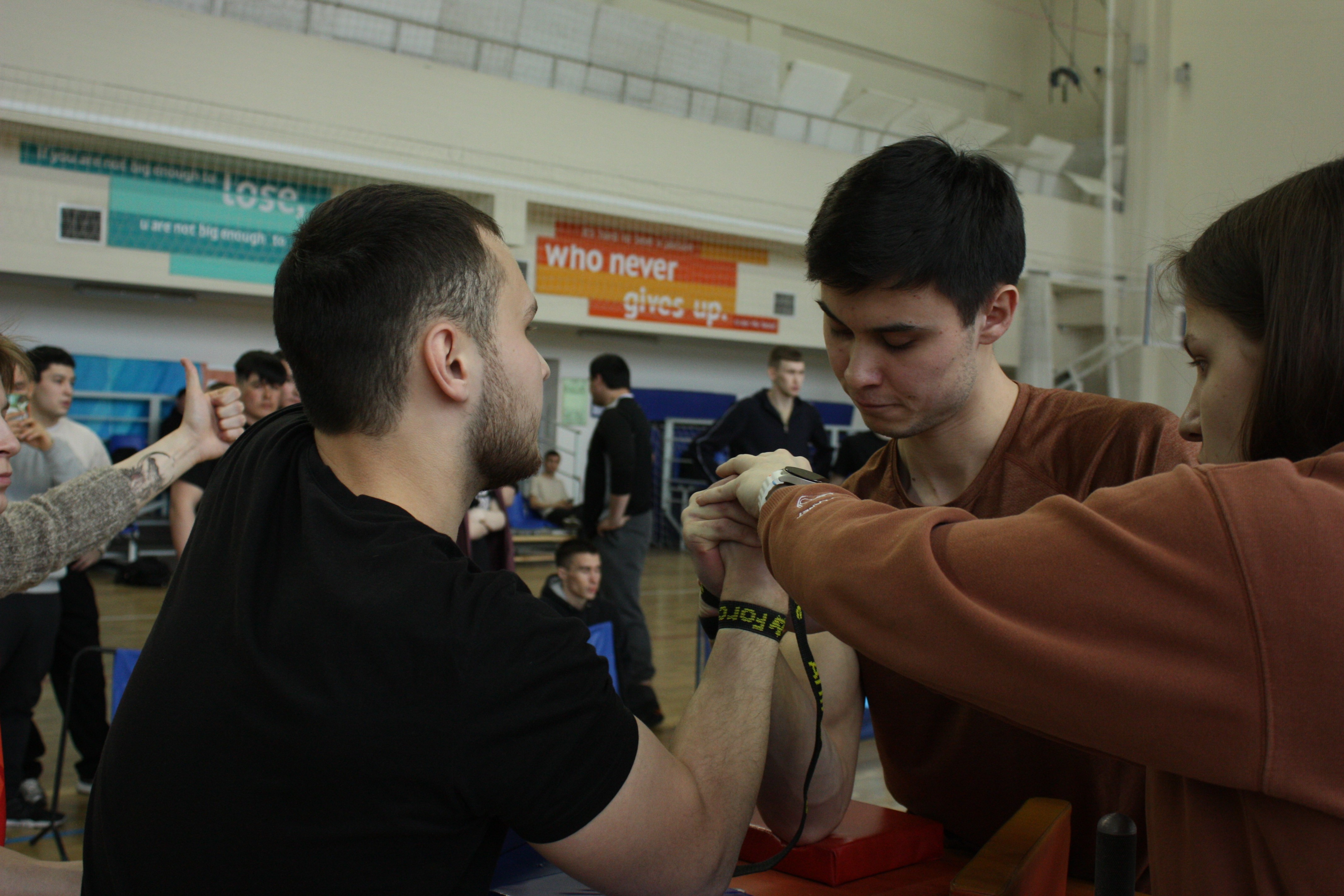 ����� ������� ,�����������, �����������, ������������ �����