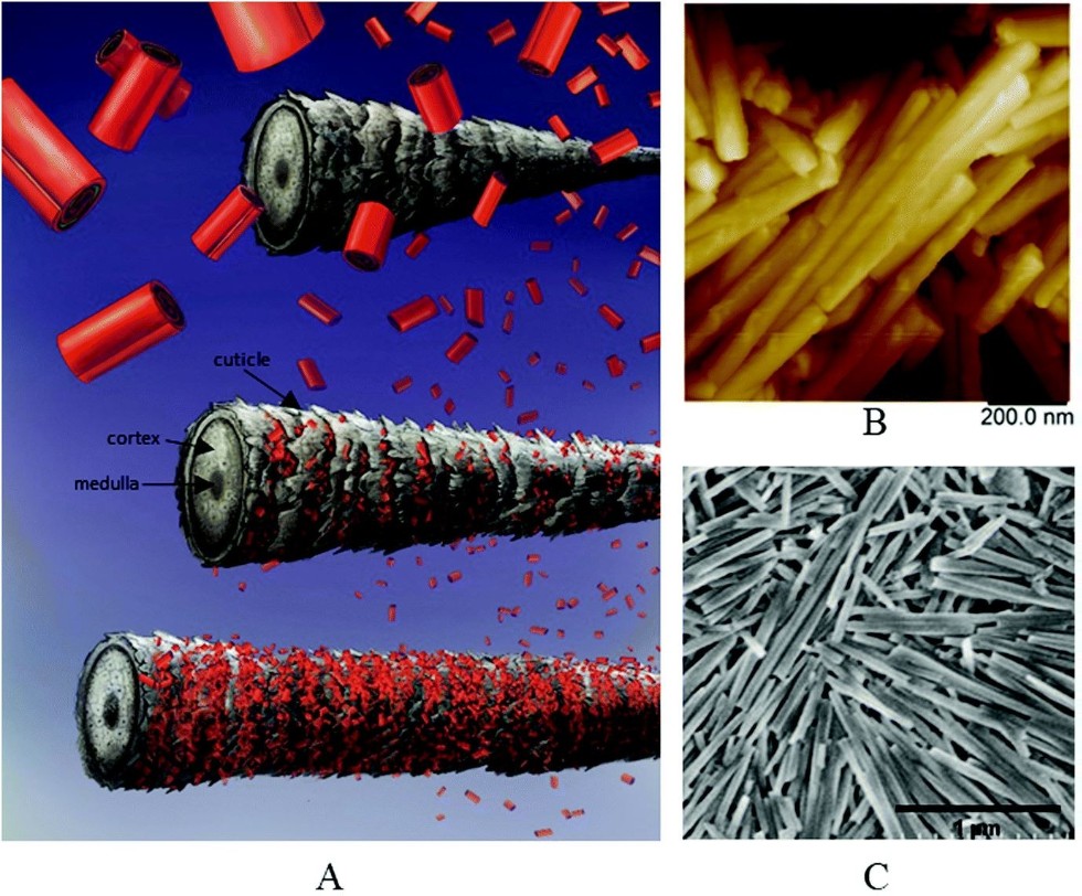 Head lice meet formidable foe in halloysite clay nanotubes ,halloysite, nanotubes, lice, pediculosis, cosmetics, dye