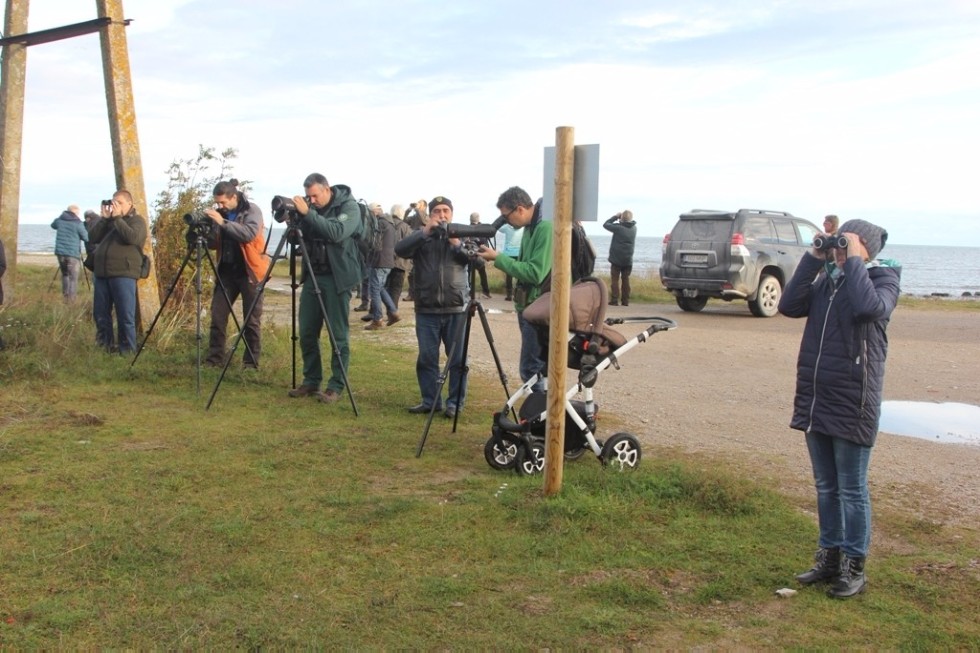 Elabuga Institute scientist took part in a Conference White-tailed Sea Eagle 2017 in Estonia