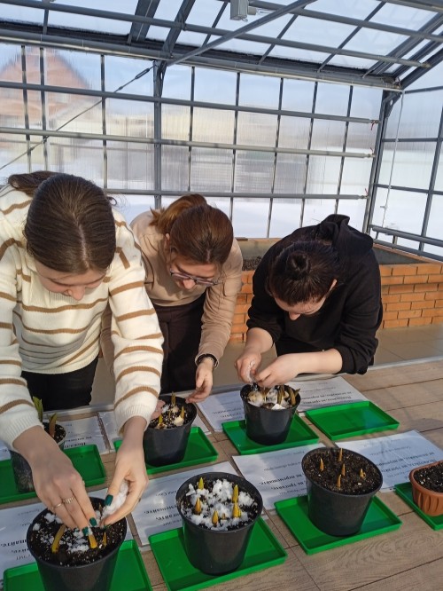 ��������, ���������� ������ ������