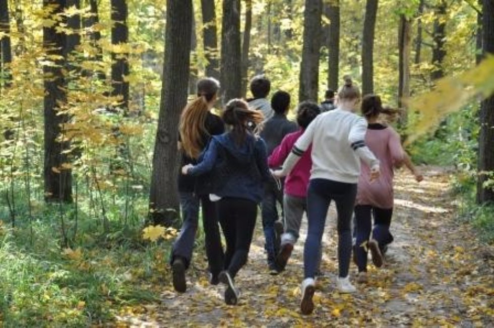 ���������� 2016