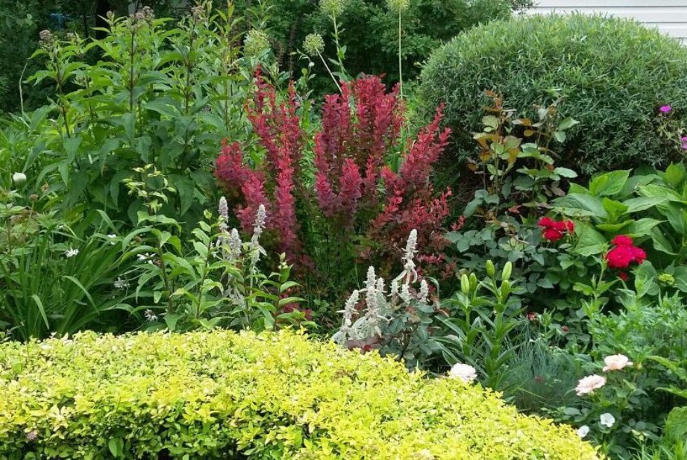 �����������