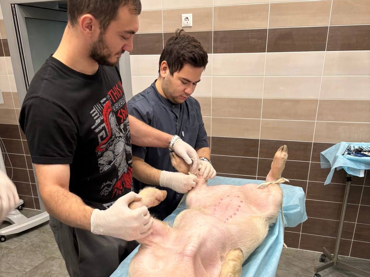 Из жизни студенческого кружка Из жизни студенческого кружка