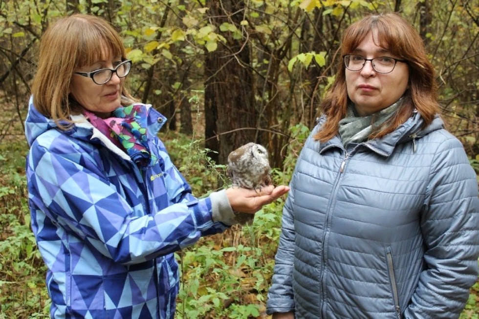 �������� ������