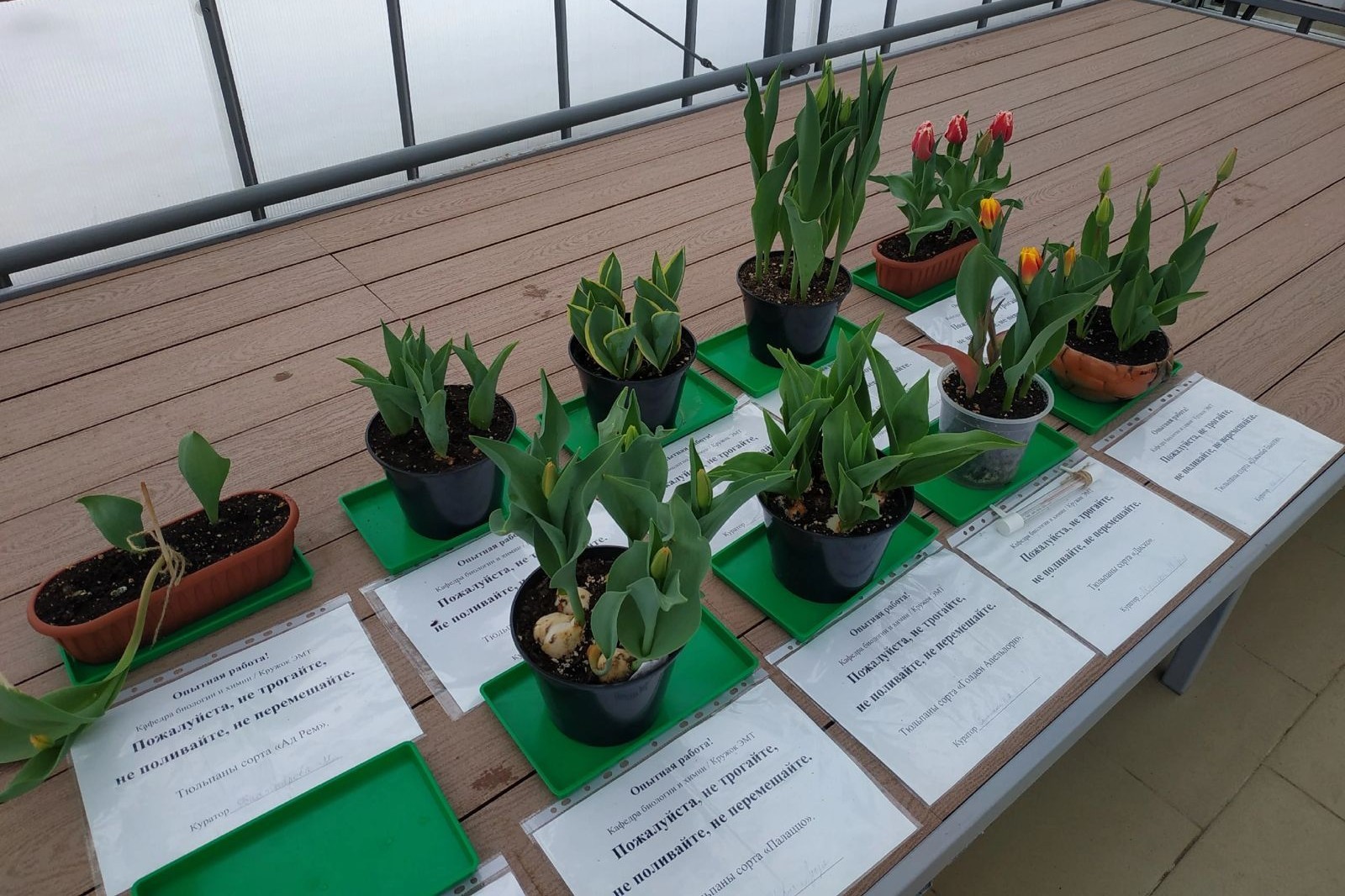 ��������, ���������� ������ ������