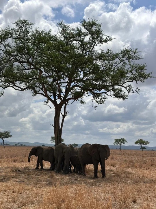 ��������� ����������� ��� ��������� �������� �������� ������ ������ �������� ���������� � ��������