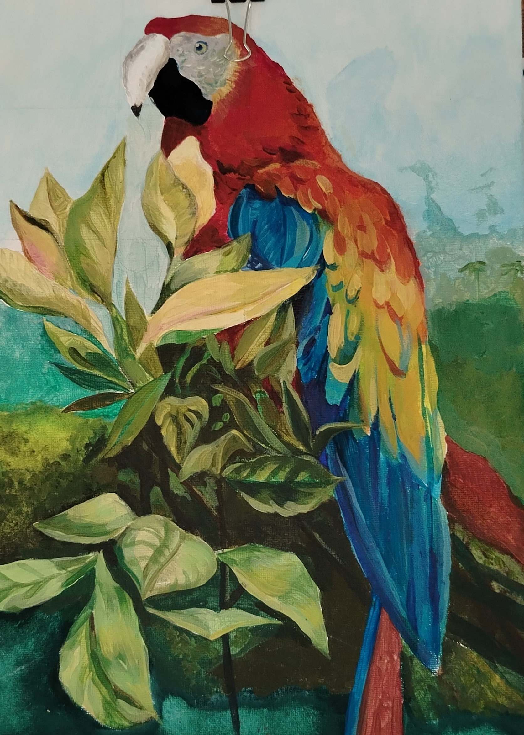 '������ ���������� �������� ?'