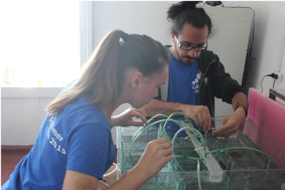 Laboratory 'Extreme Biology' together with Irkutsk State University, Institute of Biology (Irkutsk, Russia) organized an international seminar entitled 'Life of genomes 2015: Mechanisms of Adaptations' in frame of Summer School in Bolshie Koty! Laboratory 'Extreme Biology' together with Irkutsk State University, Institute of Biology (Irkutsk, Russia) organized an international seminar entitled 'Life of genomes 2015: Mechanisms of Adaptations' in frame of Summer School in Bolshie Koty!