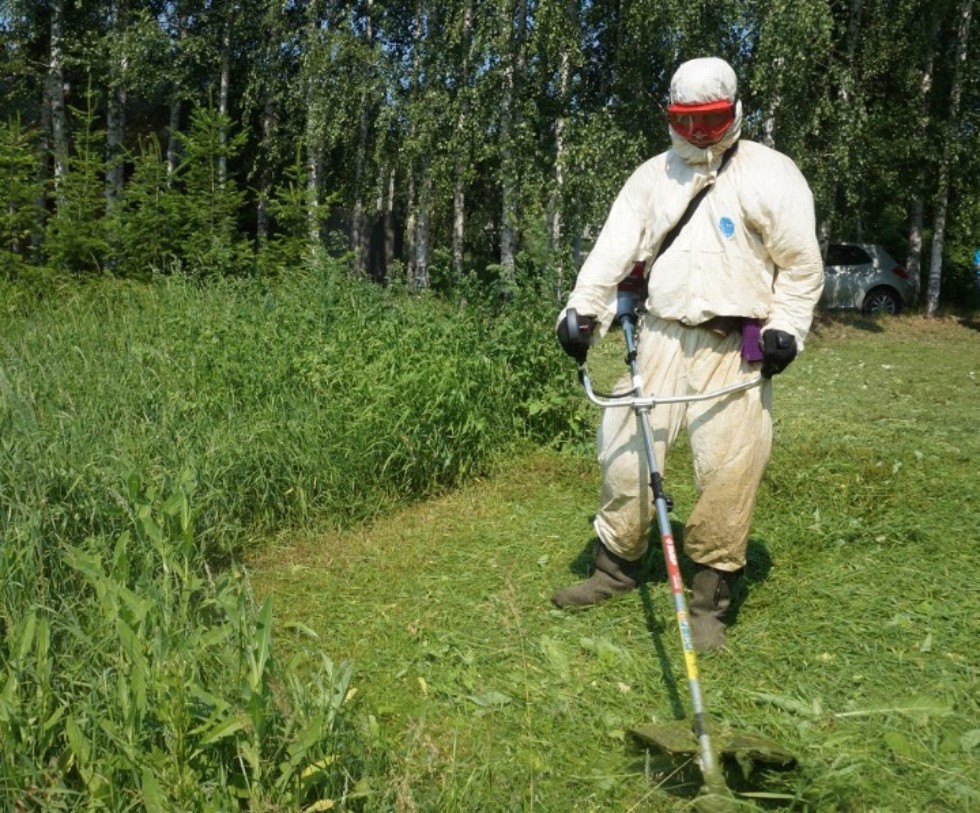 ��������� ���� ���������� � ������������ ����� '������ ����'