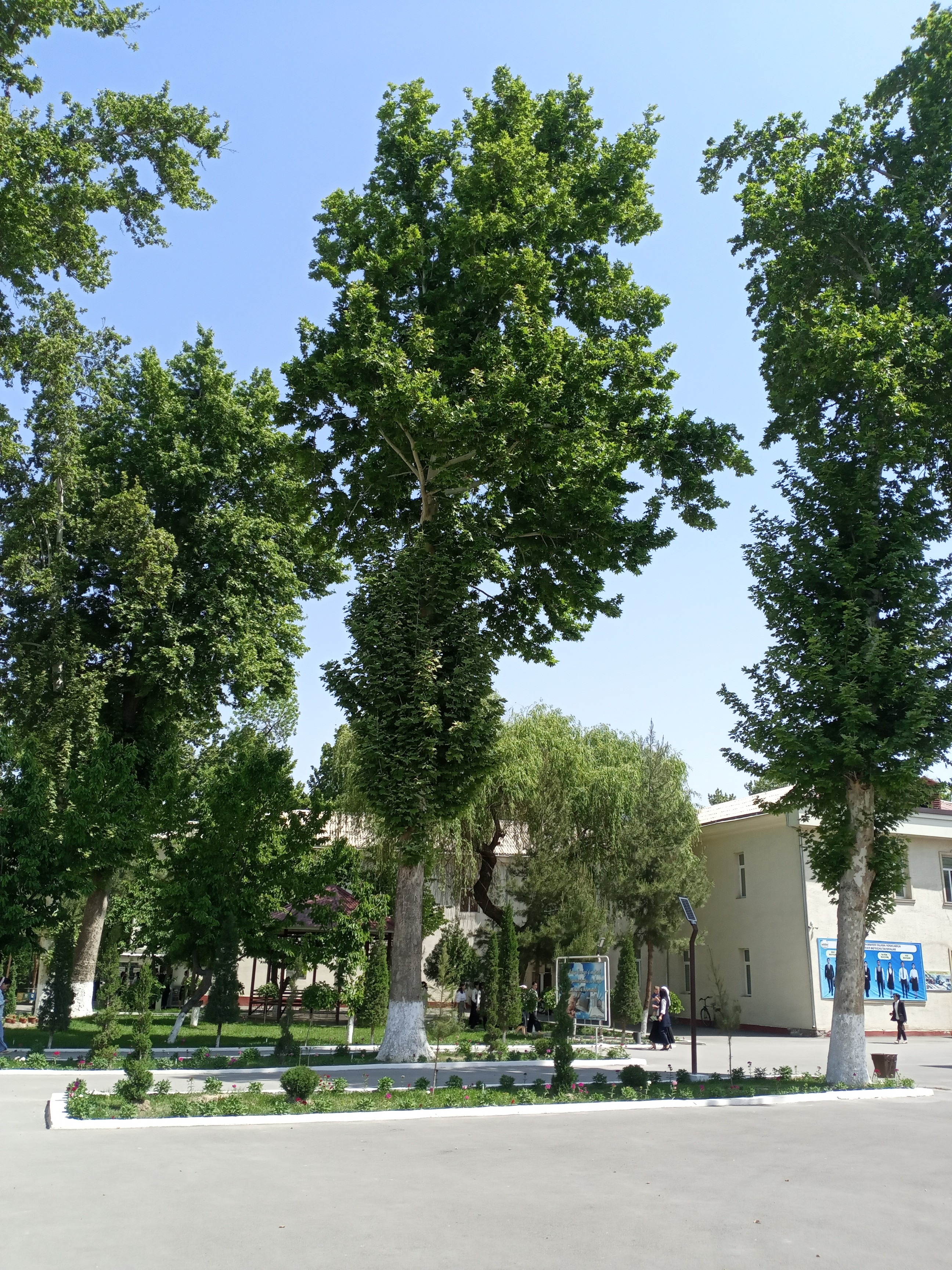 Преподаватели ИФМК КФУ посетили Ферганский государственный университет Преподаватели ИФМК КФУ посетили Ферганский государственный университет