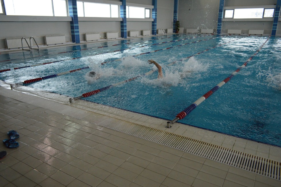 � �������� ���� - �������� ���