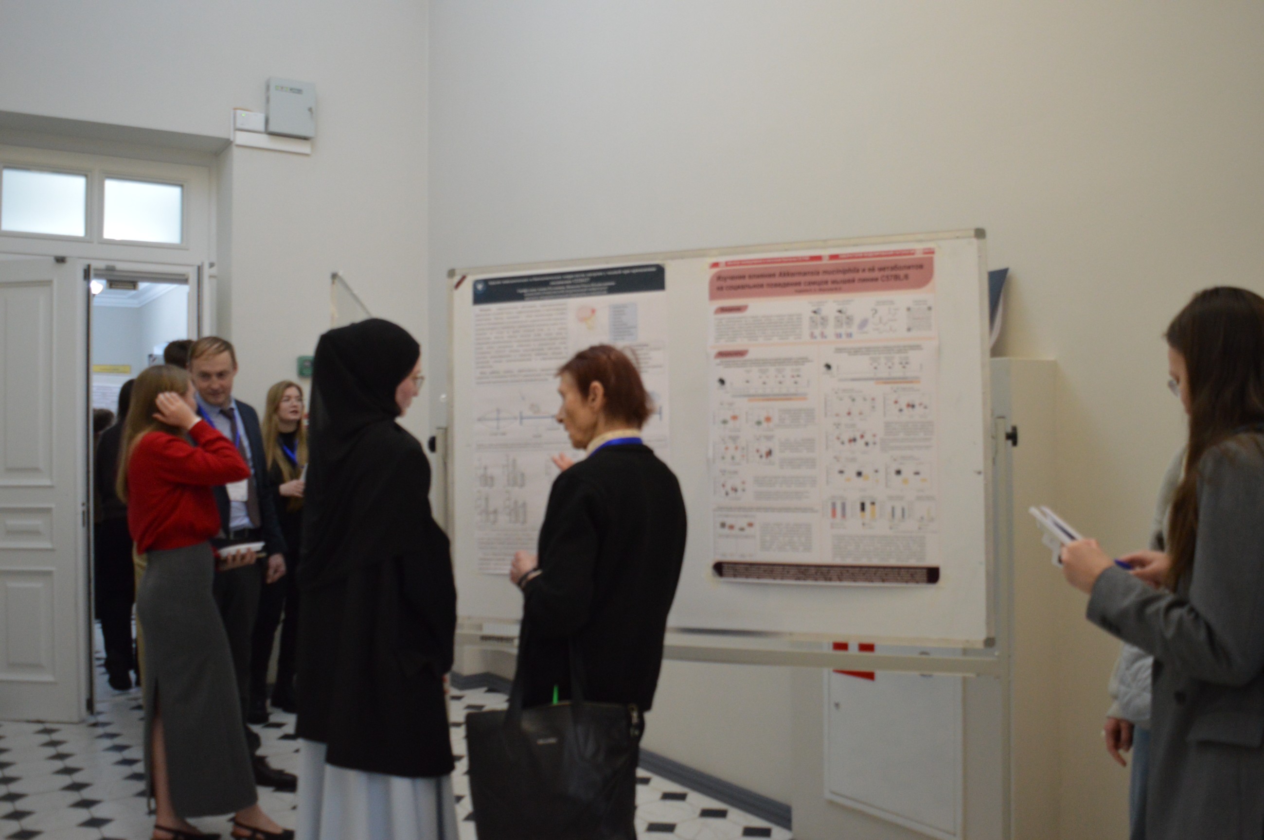 II ������������� � ������������� �������� ����������� '������������ ������. ����������� �������� ����������'