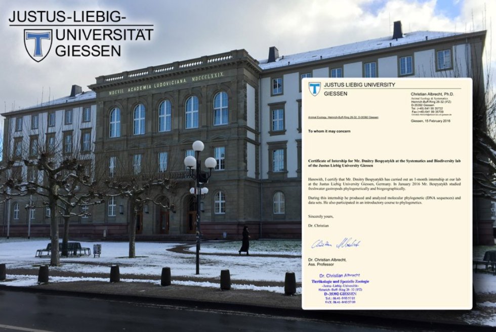 ������� ���������� � ��������� �������� ����������� �������� ����������� ������������