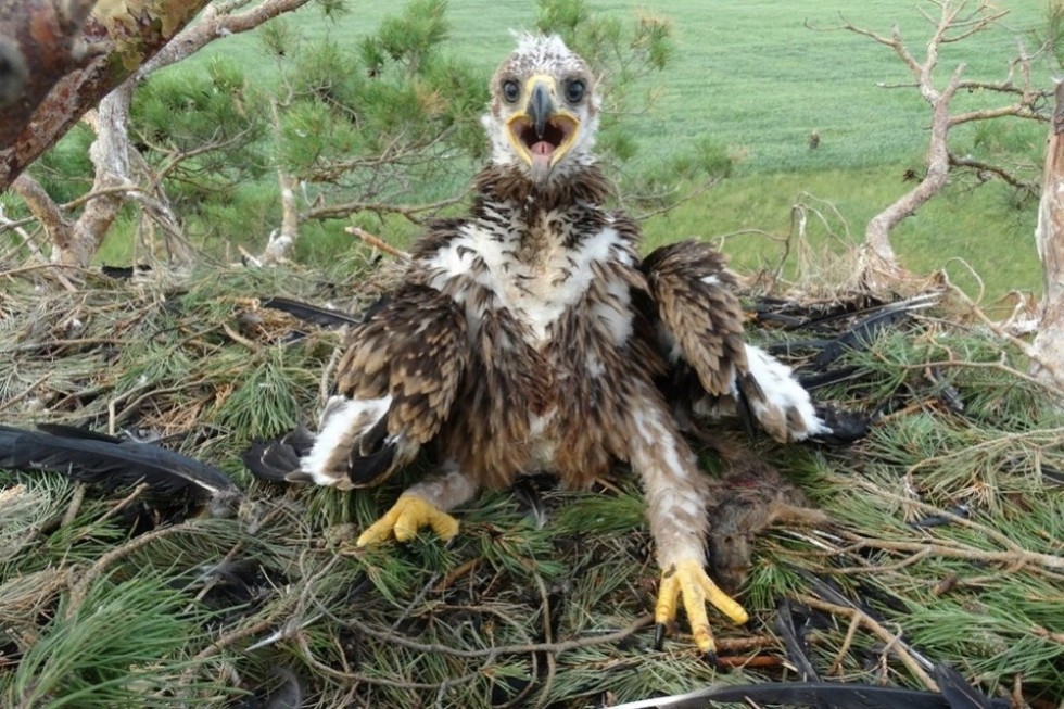 ������ ����������� ��������� ��� �������� ���������� ����������� ������� ���� ���� �� ���������� ����������