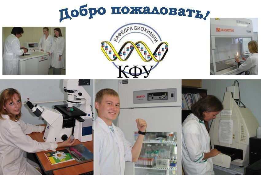 �������� � ������������ ��������﻿ ,�������� � ������������ ��������, ������������