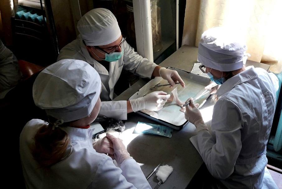 �������� ��� ����� ������������ VII ��������������� ������������ ��������� �� ��������