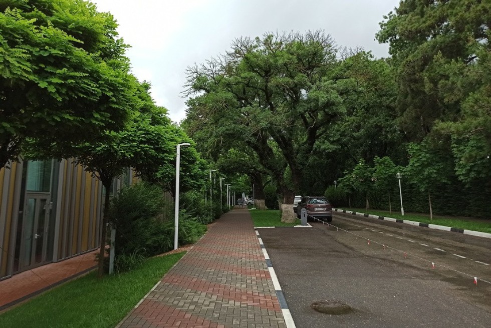 Международная школа-конференция 'Комплексный анализ и его приложения' Международная школа-конференция 'Комплексный анализ и его приложения'