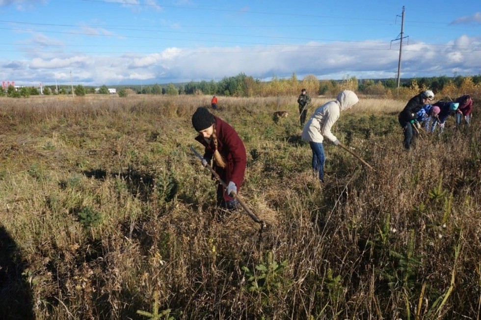 ������ ����� � '���� �����'