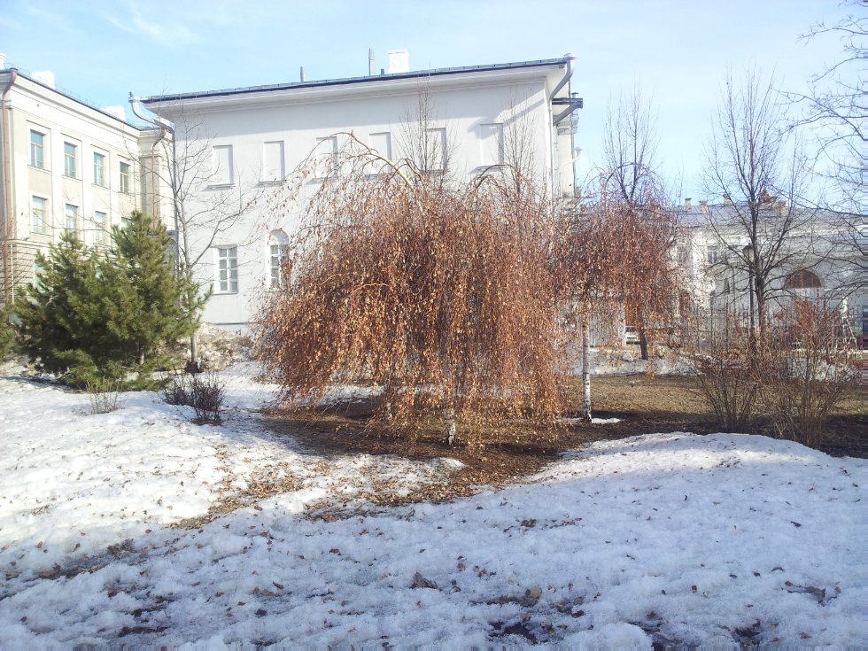 ����� �������� ������� � �.������ � ����� 2015 ���� �� ������ ������������ ������-�����������.