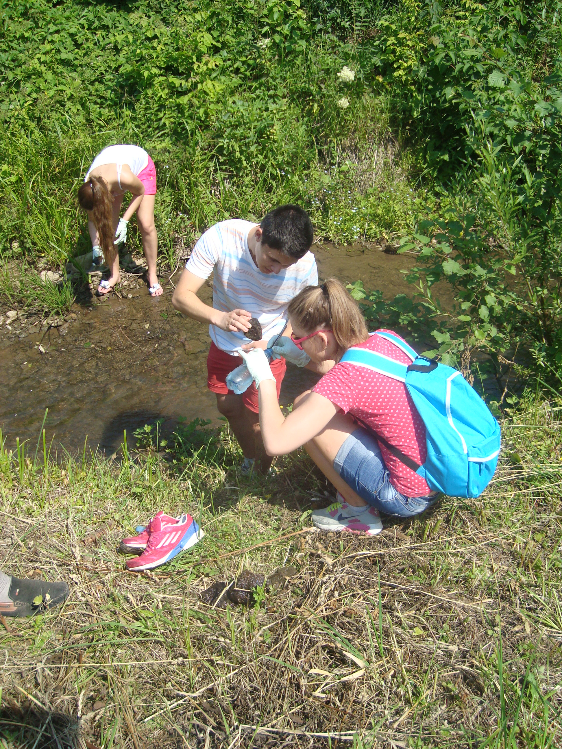 �����������