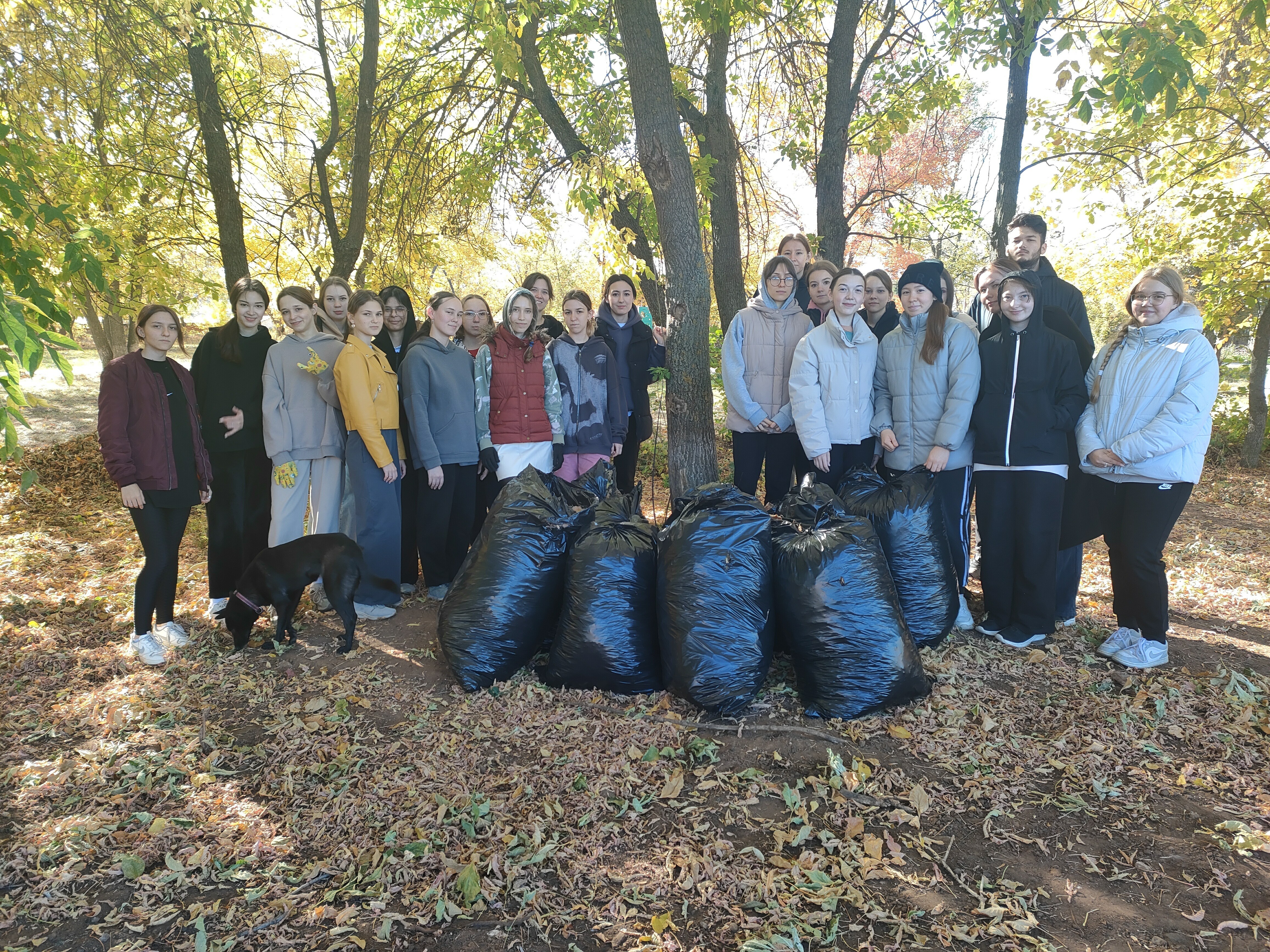 2 ������� ������ '���������' �� ���������� ���������������� �����