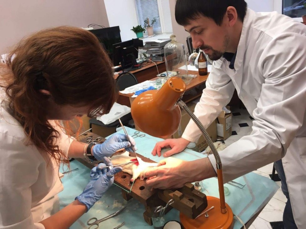 Практический семинар по реализации программы 'Ишемия сердца' Практический семинар по реализации программы 'Ишемия сердца'