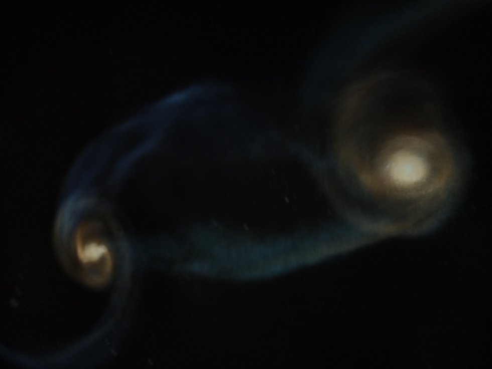 ����� � �������