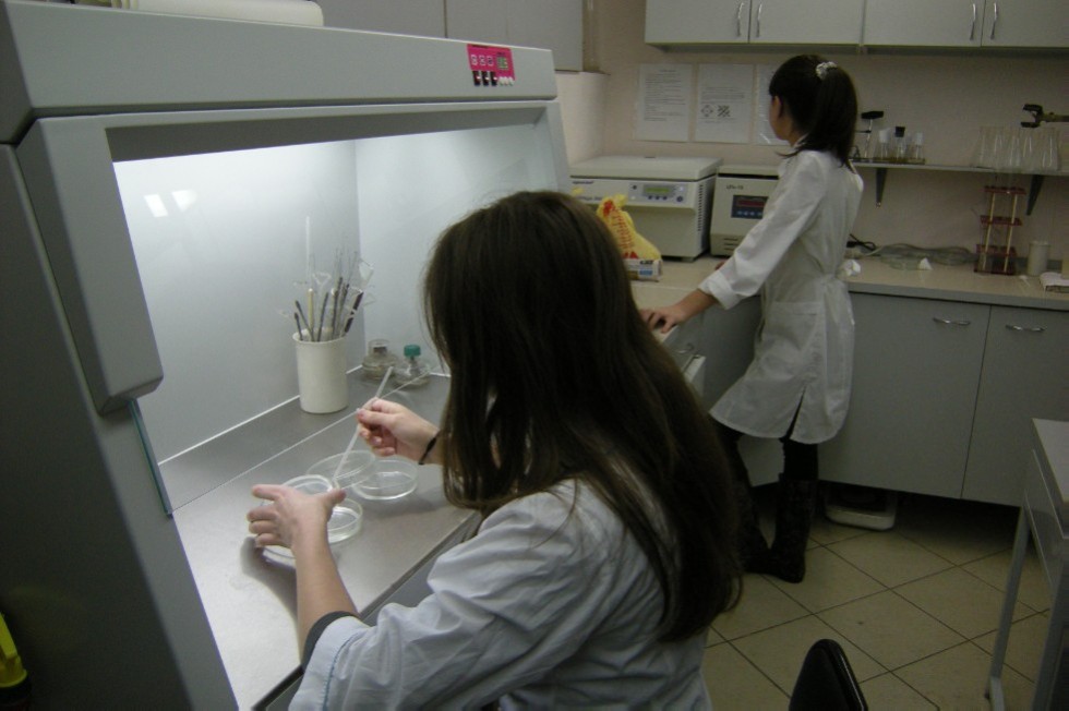 ����� ����������