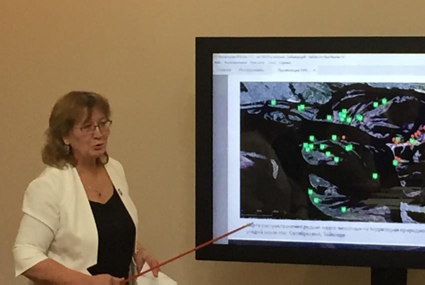 ���������� ������� ������������������� � ��������������� ���� ��� ����������� � ������������ �������� � ��������� �������� �� ������ �������� ����� ���������� ��������� ����������