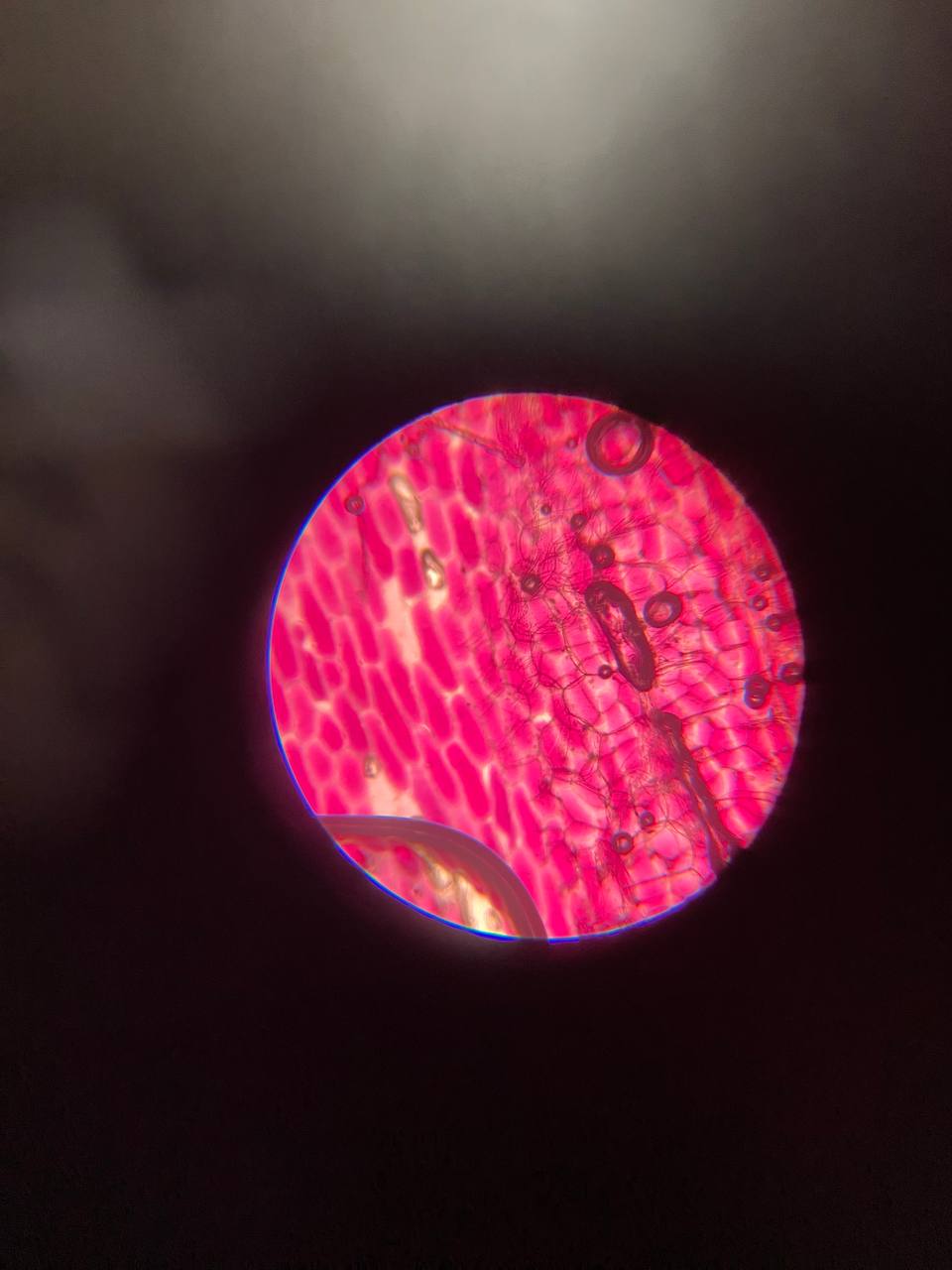 ���� ����� � ����� ����� �.�. ������������ ���