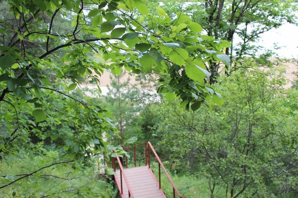 ���������-��������������� ������ '�����������'